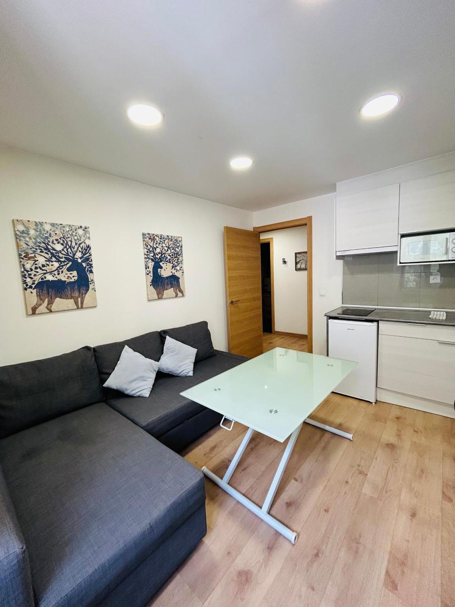 Apartahotel Канфранк Екстер'єр фото